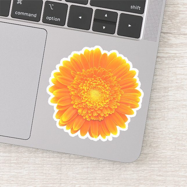 Adesivo margarida gerbera laranja (Detalhe)