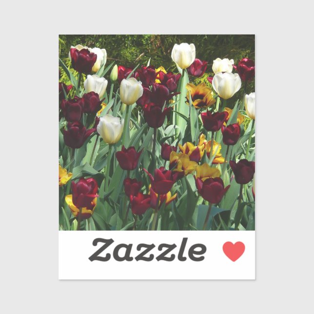 Adesivo Maroon e Tulipas Amarelas Palidez Colorida (Folha)