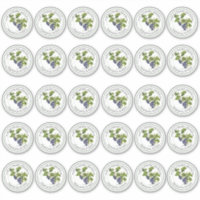 Mason Jar Lid Vinyl Blueberry Jelly regular de 2 p