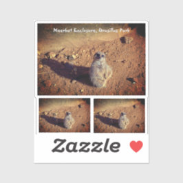 Adesivo Meerkat Enclosure, Drusillas Park Sticker