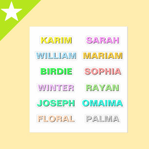 Adesivo Melhores Nomes em Letra Nelegrita Colorida, Modern