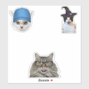 Adesivo memes de gatos