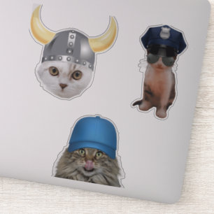 Adesivo Memes de Gatos Engraçados