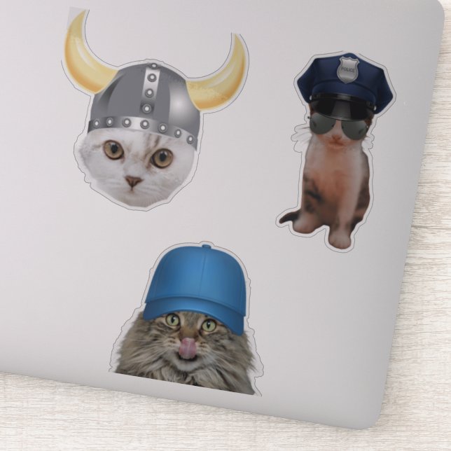 Adesivo Memes de Gatos Engraçados (Detalhe)