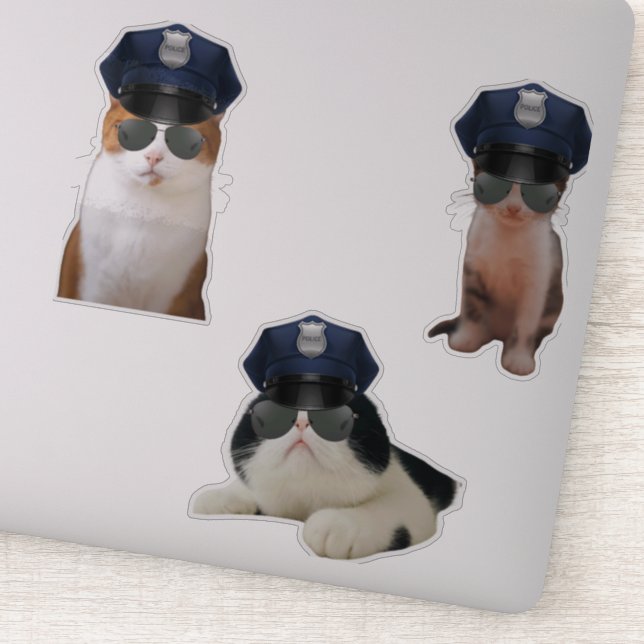 Adesivo Memes de Gatos Engraçados (Detalhe)