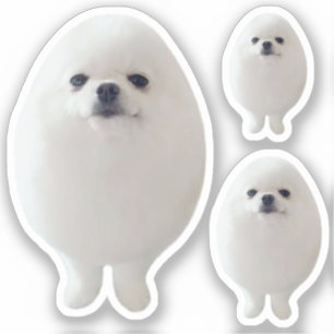 Adesivo Memória de Cachorro de Ovos