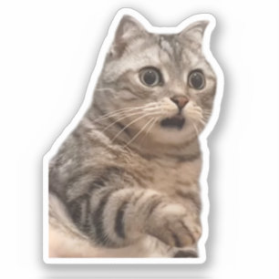 Adesivo Memória de Gato Chocada do Sticker
