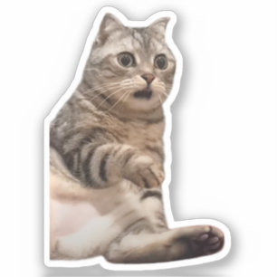 Adesivo Memória de Gato Chocada do Sticker