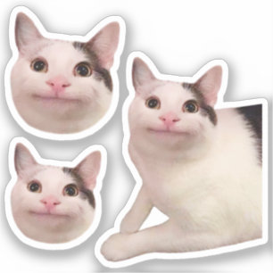 Adesivo Memória de Gato Polita de Stickers