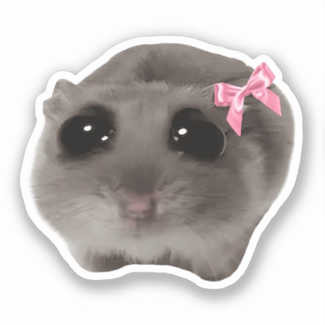 Adesivo Memória de Hamster Sad do Sticker Coquette (Frente)