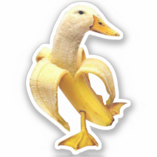Adesivo Memória de Pato do Sticker Banana