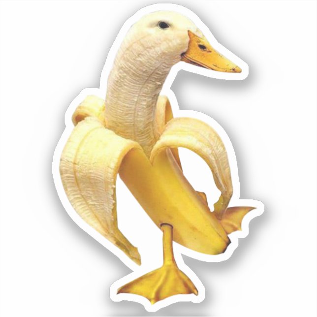 Adesivo Memória de Pato do Sticker Banana (Frente)