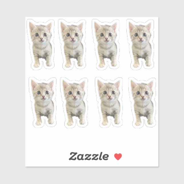 Adesivo Menina Winter - Gato / Gatinho (Folha)