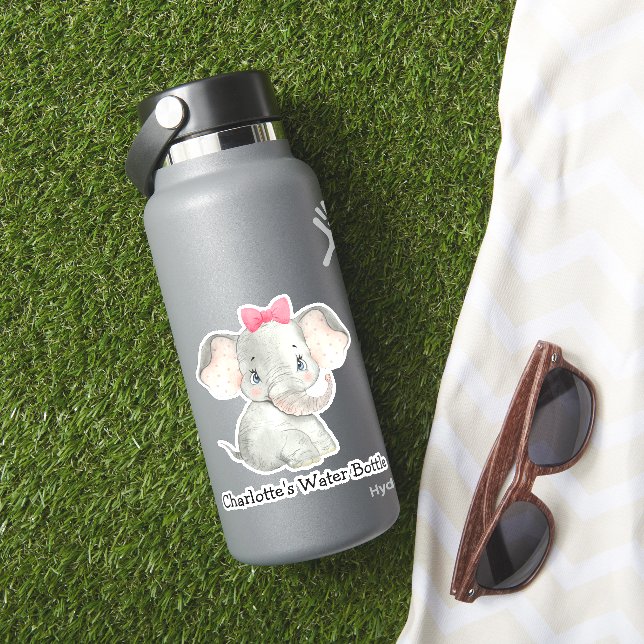 Adesivo Meninas Personalizadas Bonitas Nome Garrafa de Águ (HydroFlask Insitu)