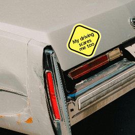 Adesivo Minha Condução Me Assusta Muito Engraçado