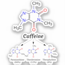 Adesivo Molécula de Cafeína (Química Café Átomos) Estudant