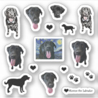 Monroe, o Cachorro Engraçado Labrador