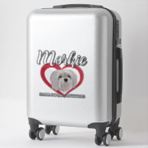 Morkie - Cachorro Pequeno, Grande Atitude - 3