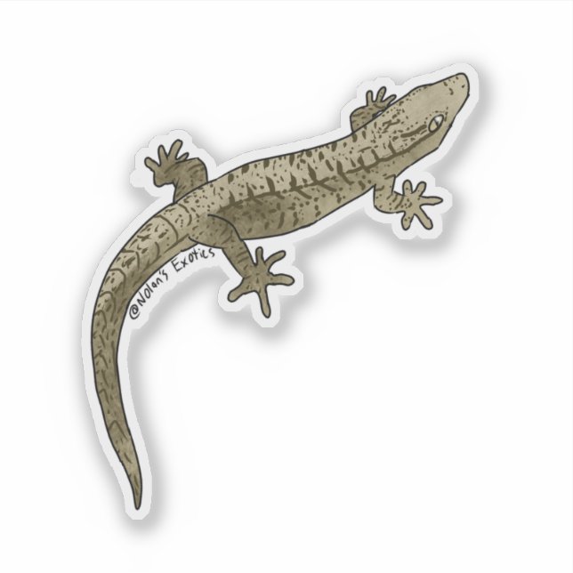 Adesivo Mourning gecko vinyl sticker (Frente)