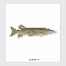 Musky - Pesca de Água fresca