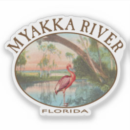 Adesivo Myakka River Florida com Roseate Spoonbill