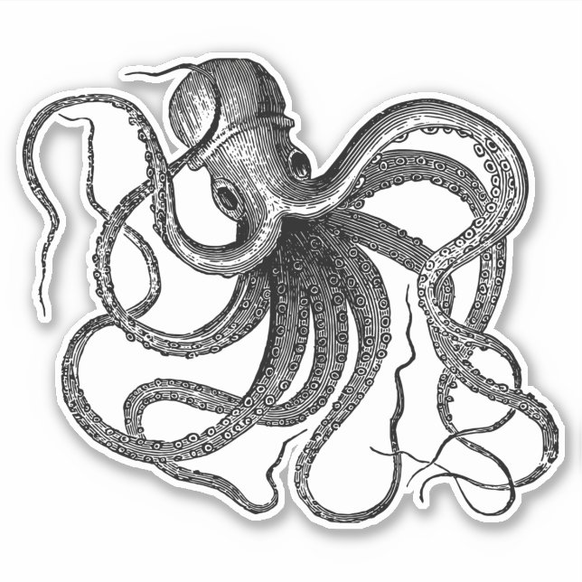 Adesivo Nadação Antiquada de Octopus