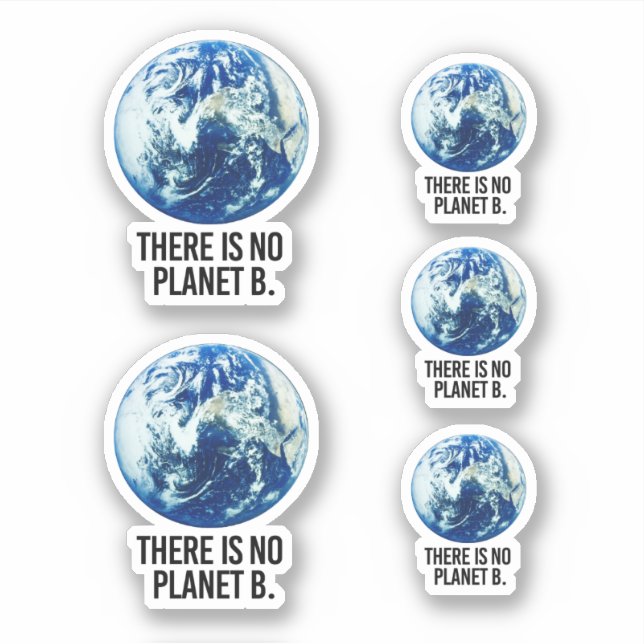 Adesivo Não há planeta B (Frente)