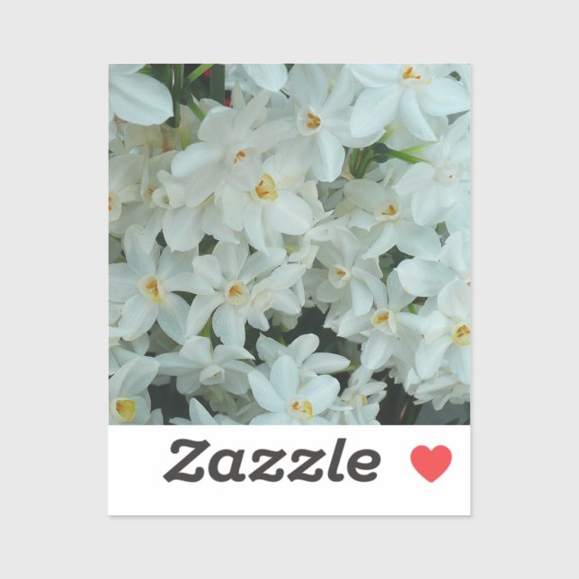Adesivo Narciso Branco Delicado de Paperwhite Flores (Folha)