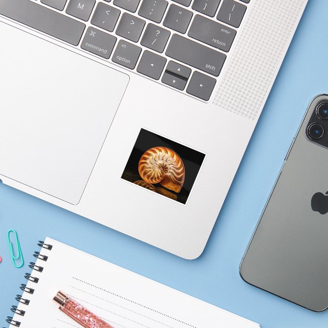 Adesivo Nautile, coquille dorée (Notebook com iPhone)