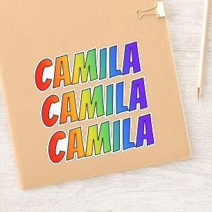 Adesivo Nome "CAMILA" com coloração do arco-íris do