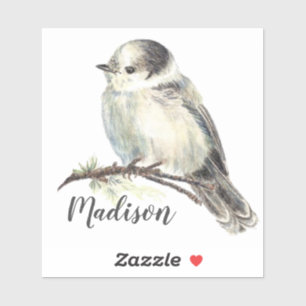 Adesivo Nome do costume da natureza do pássaro de Jay