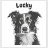 Nome Personalizado de Collie de Borda