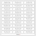 Adesivo Nomes de Convidado de Casamento Discutem Chic Simp<br><div class="desc">Composto por simples sans serif e serif tipografia moderna. Estes elementos são simples,  elegantes e modernos. Isto tem 30 adesivos. Este foi projetado pelo White Paper Birch Co. exclusivo para Zazzle. Disponível aqui: http://www.zazzle.com/store/whitepaperbirch</div>