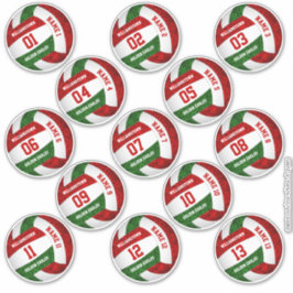 Adesivo Nomes de jogadores de vôlei verde e giro 13