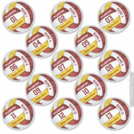 Adesivo nomes personalizados de jogadores de vôlei de vôle