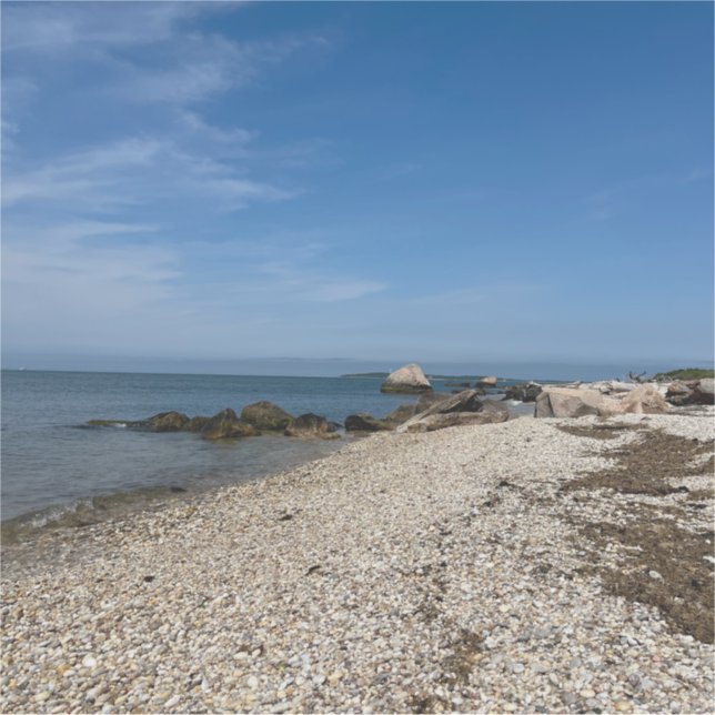 Adesivo North Fork Sound Custom-Cut Vinyl Sticker (Frente)