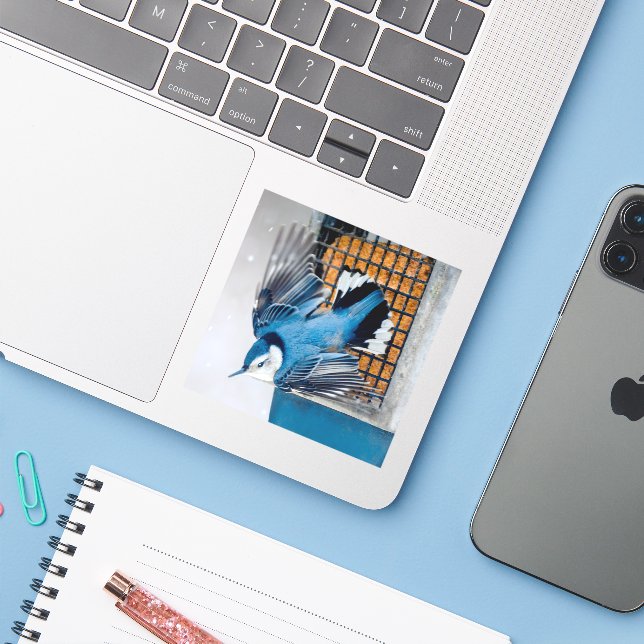 Adesivo Nuthatch Branca em Neve - Foto original (Notebook com iPhone)