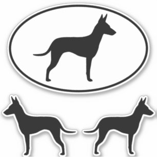 Adesivo O cão de Manchester Terrier mostra em silhueta