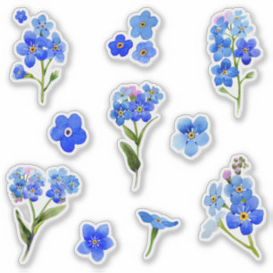 Adesivo O miosótis azul da aguarela floresce o vinil