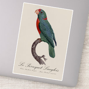 Adesivo O Papagaio Langlois de Jacques Barraband