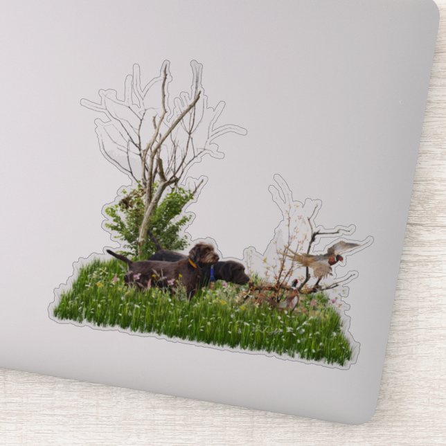 Adesivo O Ponteiro (Detalhe)