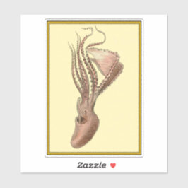 Adesivo Octopus Vintage