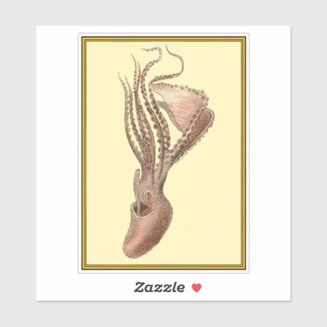 Adesivo Octopus Vintage (Folha)