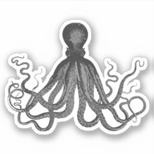 Adesivo Octopus Vintage