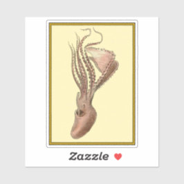 Adesivo Octopus Vintage