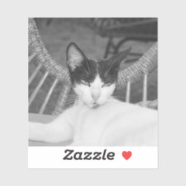 Adesivo Olá, Meow..