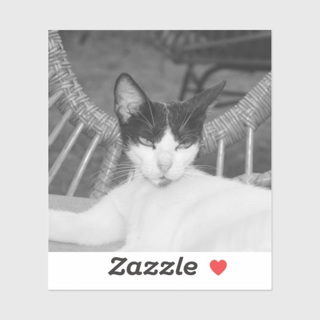 Adesivo Olá, Meow.. (Folha)