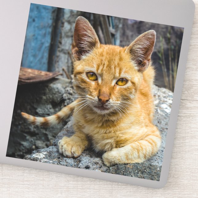 Adesivo Olhos de ouro (Detalhe)