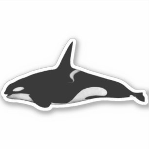 ADESIVO ORCA WHALE