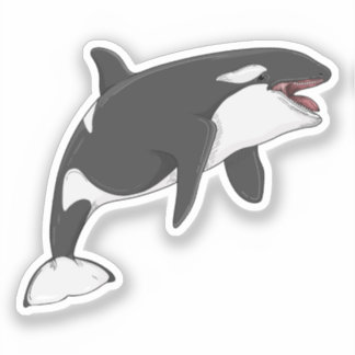 Adesivo Orcinus Orca — Ilustração vetorial